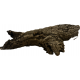 Korková kůra New Sauros 22 (37cm x 17cm)